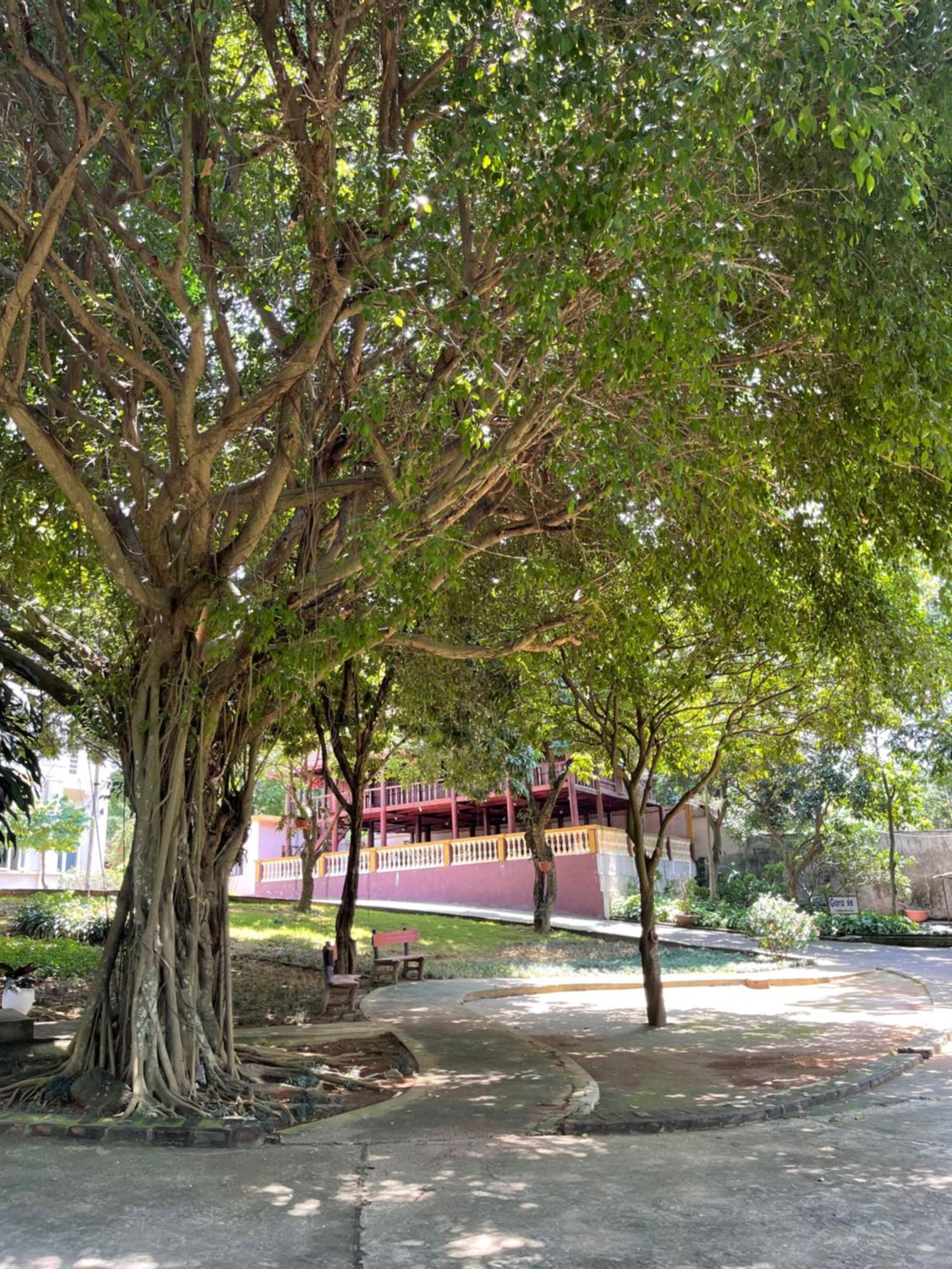 Hòa Bình Thien Binh Hotel מראה חיצוני תמונה
